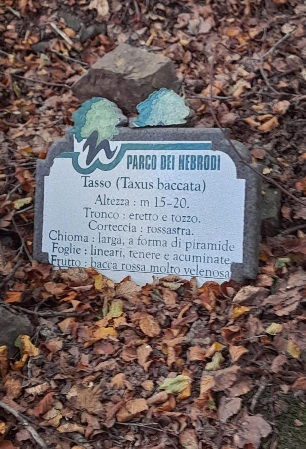 Calacta Casa Mia Caronia Εξωτερικό φωτογραφία