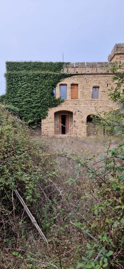 Calacta Casa Mia Caronia Εξωτερικό φωτογραφία